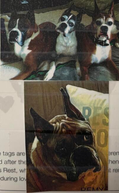 sydney-kirby-morgan-remy