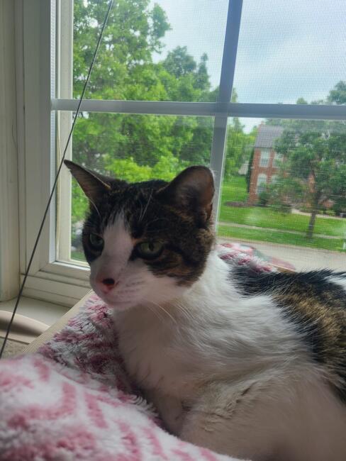 75c3f46c-dd89-40f3-bcd4-59f66beb024a