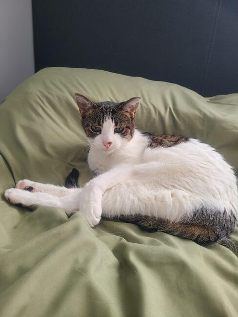 9e0ae9ea-11f9-4714-a414-bcfb521e309f