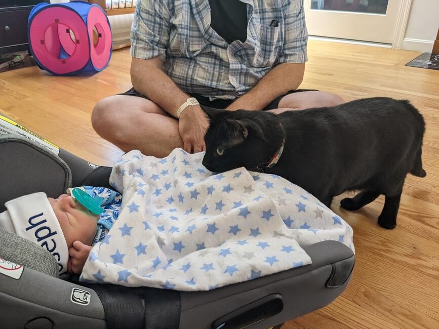 ff8400fc-16cf-4493-80fe-3710d3c27c86-1_all_3617