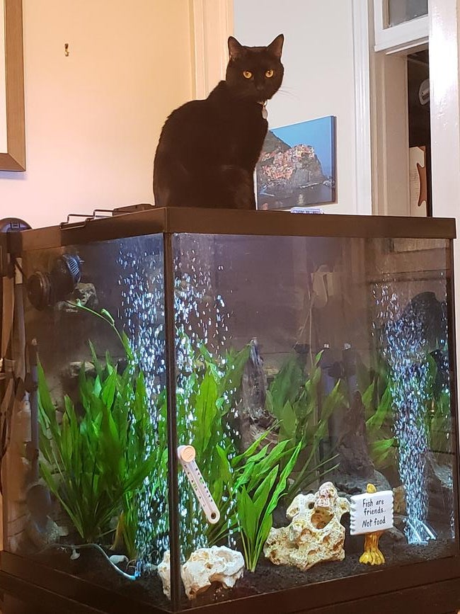 ff8400fc-16cf-4493-80fe-3710d3c27c86-1_all_438