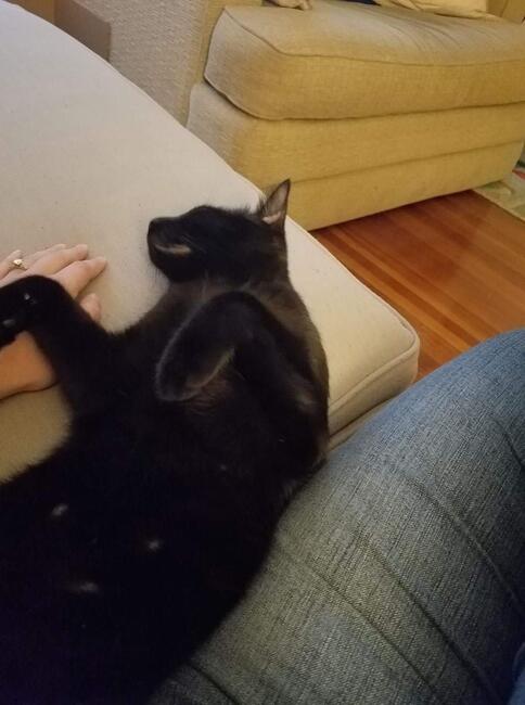 ff8400fc-16cf-4493-80fe-3710d3c27c86-1_all_4601