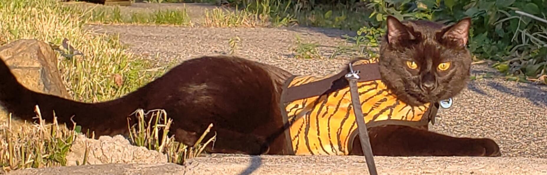 ff8400fc-16cf-4493-80fe-3710d3c27c86-1_all_4821