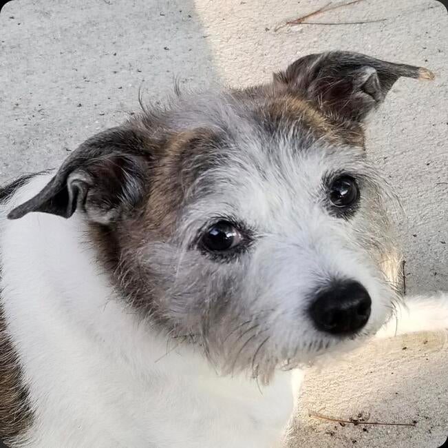 inbound3276130688269828706