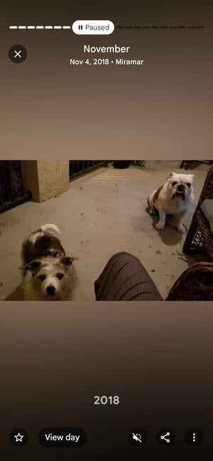 inbound4372852752725555367