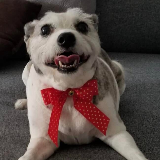 inbound4758050086999353264