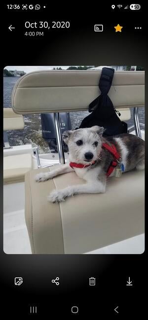 inbound6030556375885996924