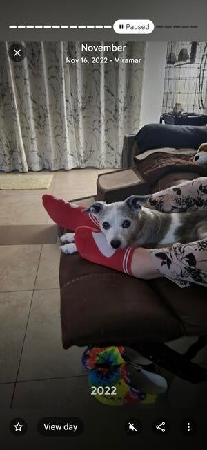 inbound6631129180055734263