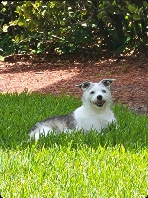 inbound7801474418037943855