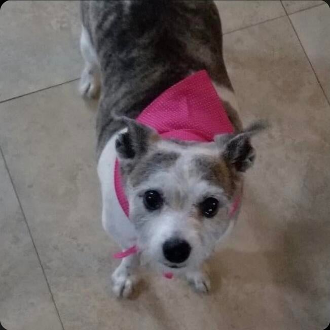 inbound846032799717227755