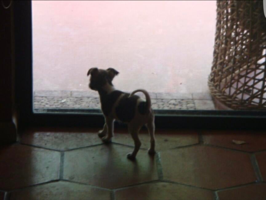 inbound9054796589815866696