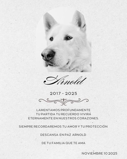 whatsapp-image-2025-11-10-at-9