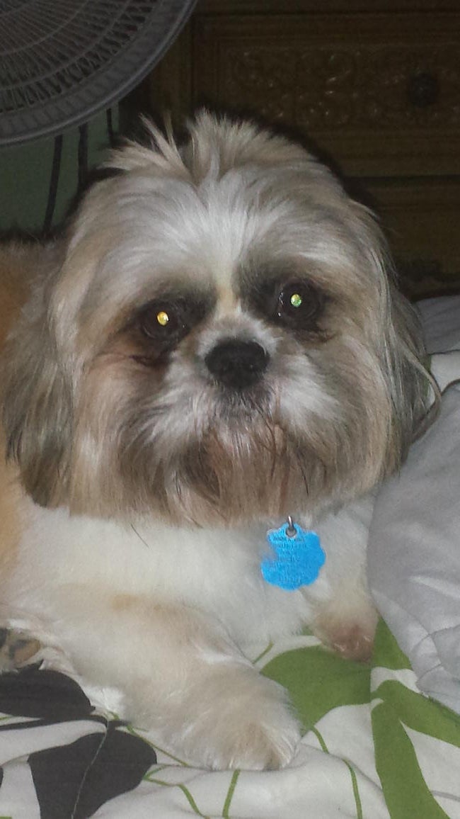 inbound1883685142125587264