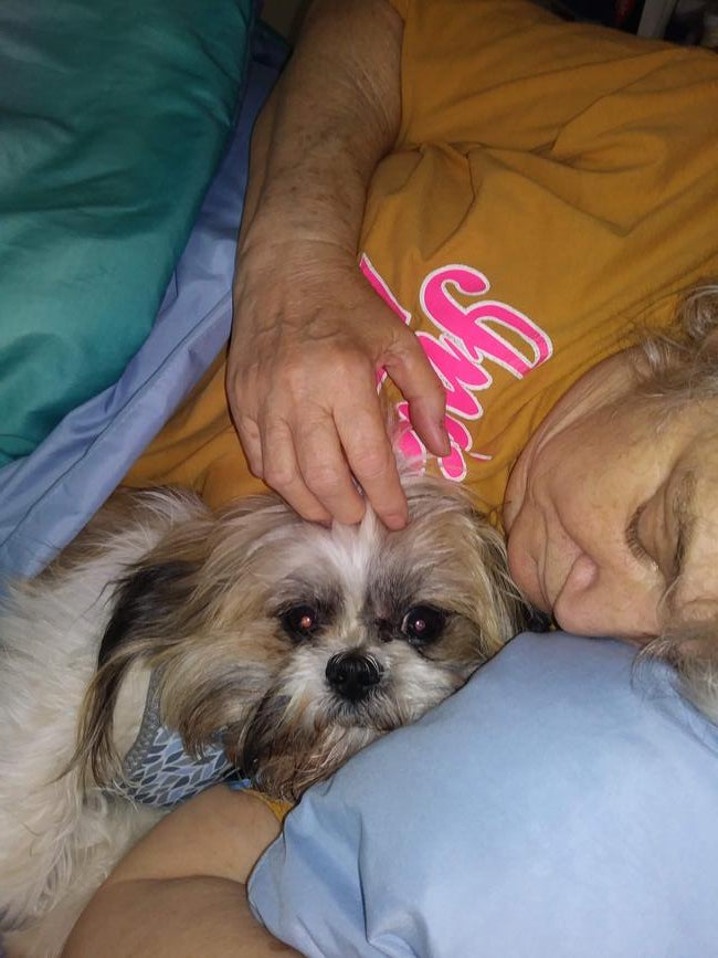 inbound3867446331984759261