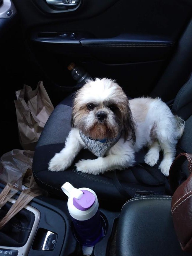 inbound7391349414871578746