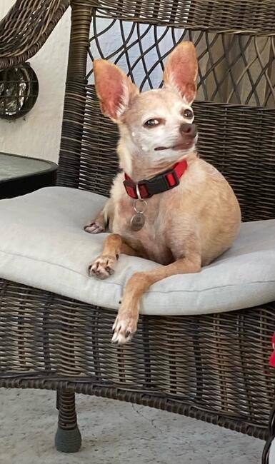 1b53a223-5f09-4481-bf0d-a2877c6c64bf_1_105_c