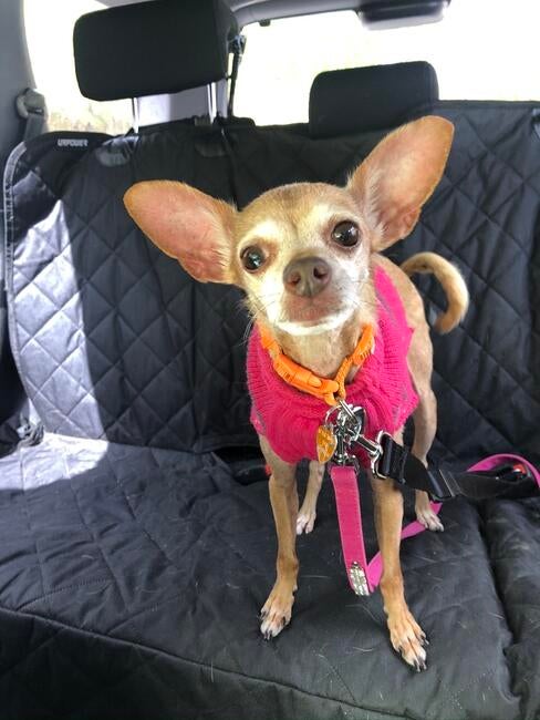 6ac958ed-9ef7-4ce5-9f88-d4ea4cfce3a4_1_105_c