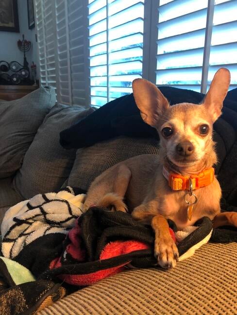 f5f2fae4-8f88-4a9a-90a0-bf1b802dc9c6_1_105_c