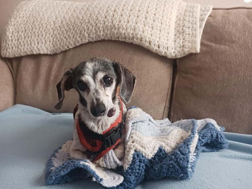 inbound1665868545711282282