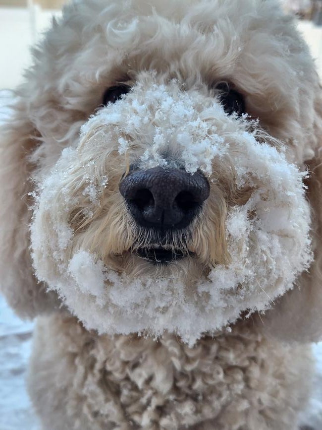 41484cb5-5971-4c25-9dd8-354e3a0b12ec-1_all_16210