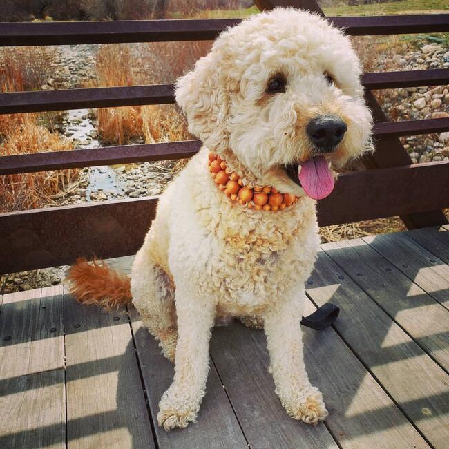 41484cb5-5971-4c25-9dd8-354e3a0b12ec-1_all_34234