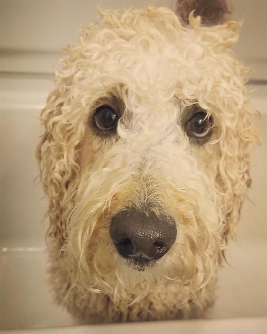 41484cb5-5971-4c25-9dd8-354e3a0b12ec-1_all_38737