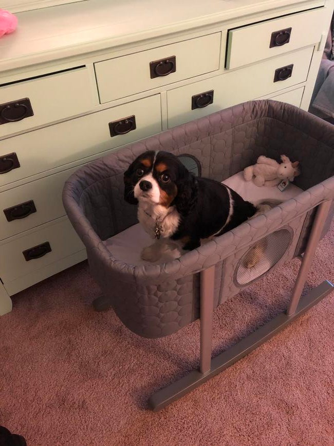 58284799847__abca49ee-b5a9-4844-b2a6-24531c3bef01