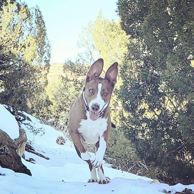 76921275_2595653170472152_54483567358833911_n