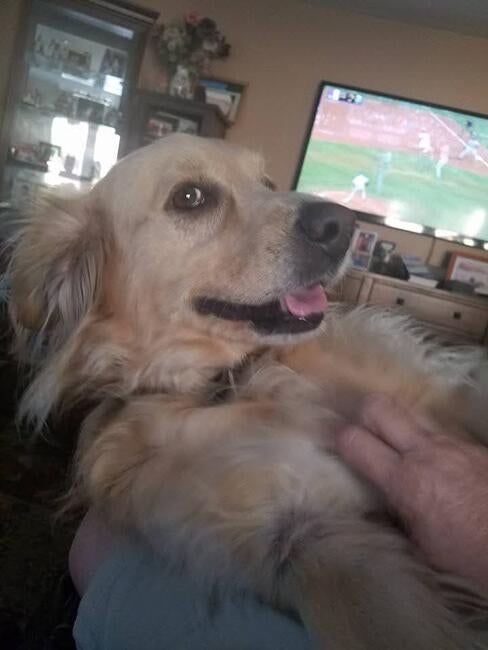 593665508_10231755667096923_3925714060147613803_n