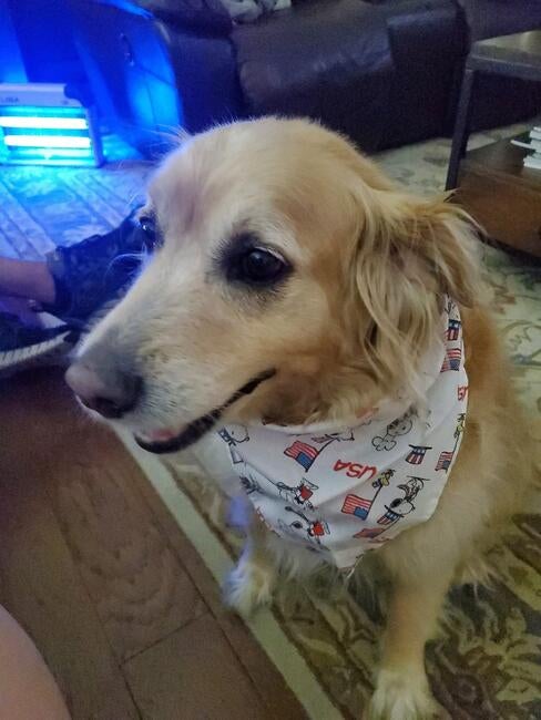 594397784_10231755679417231_7605765309844415129_n