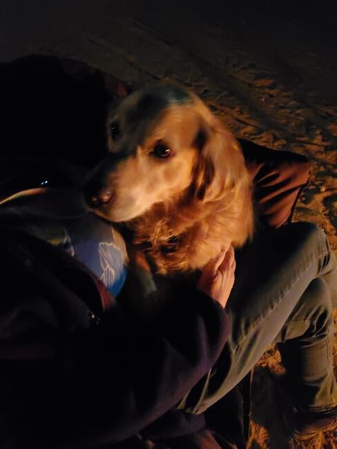 594407790_10231755681857292_2676398398340388336_n