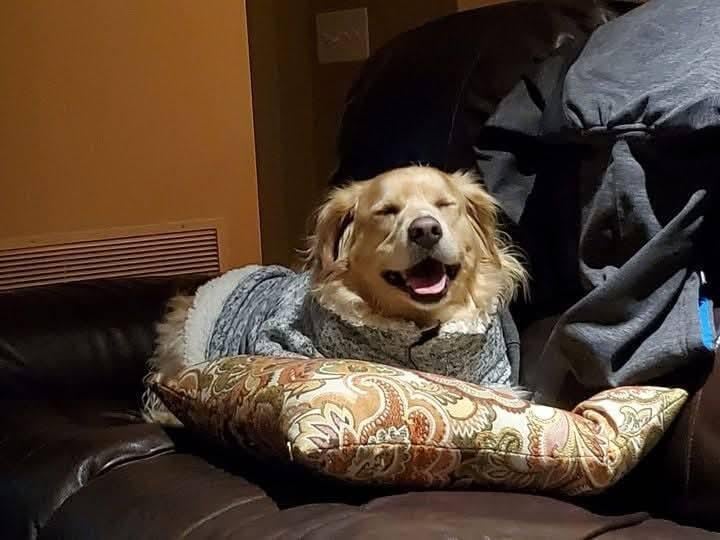 594788702_10231755659896743_606038301888173844_n