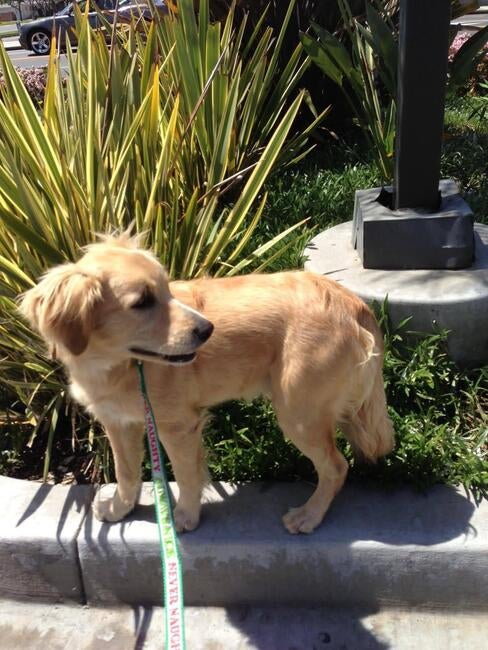 594827397_10231755656776665_2223567717601982864_n