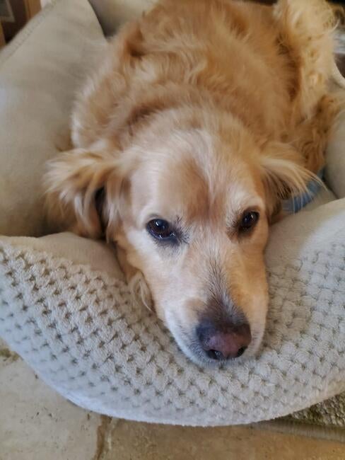 595350297_10231755676937169_1091342482706310859_n