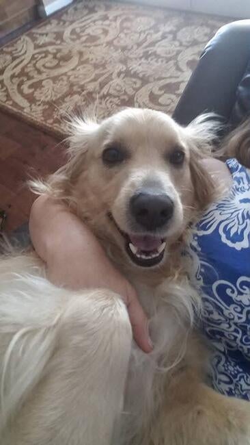 595990618_10231755651496533_1606973350119820199_n