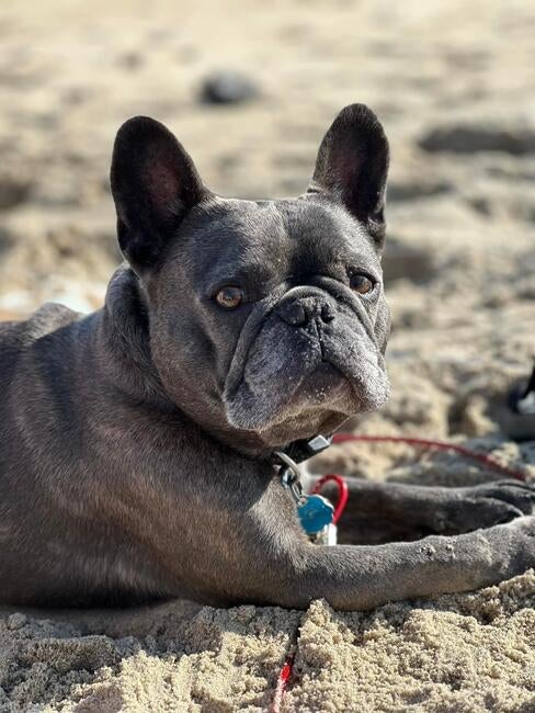 fb_img_1765496890874