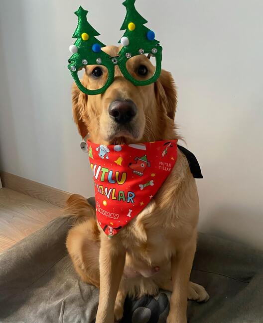 screenshot_20251219_085907_instagram