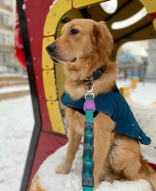 screenshot_20251219_085944_instagram