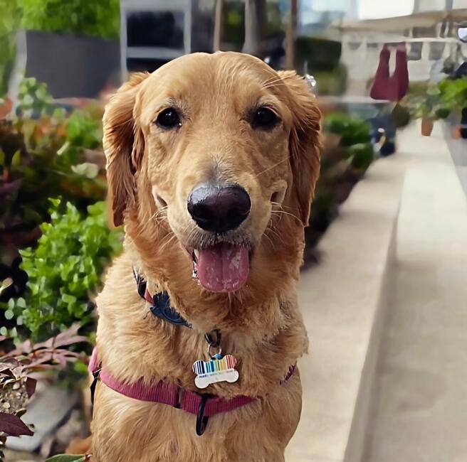 screenshot_20251219_090007_instagram