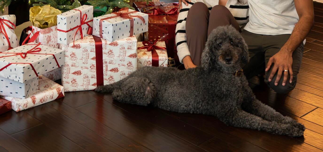 dsc09043-enhanced-nr