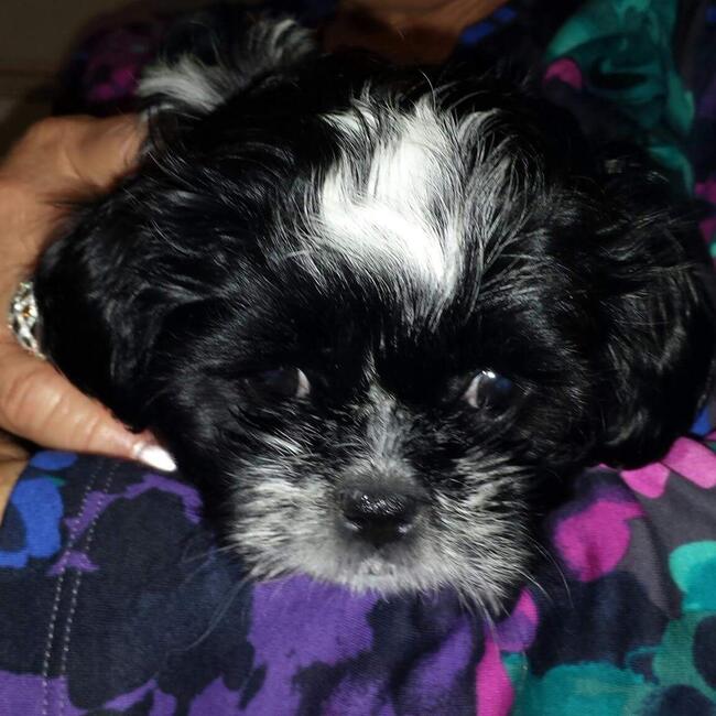 inbound1672920427548387474