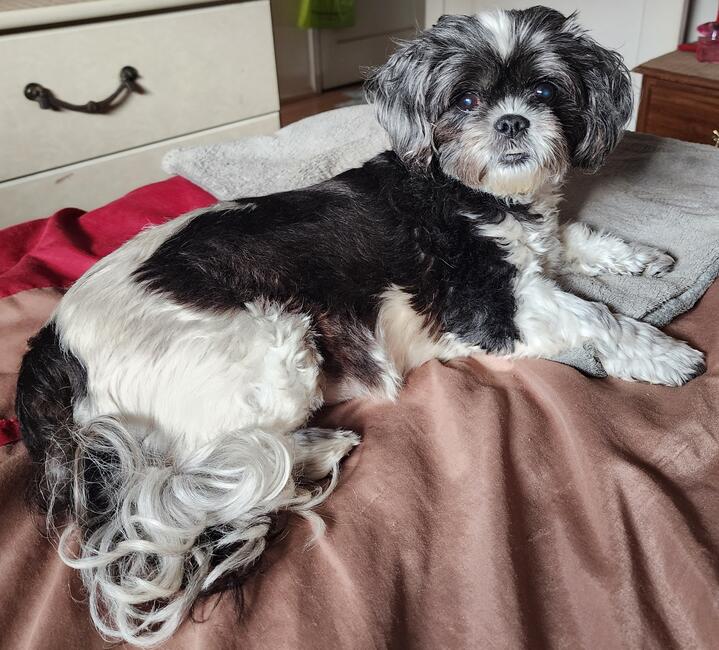 inbound4373813391762895840