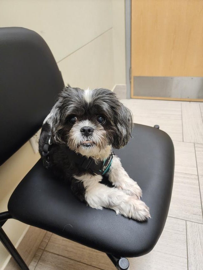 inbound4461582686156518639