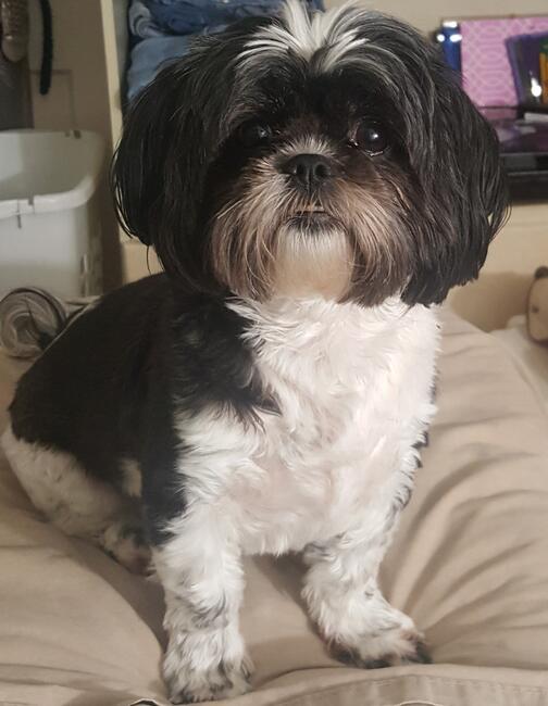 inbound4640842490090347067