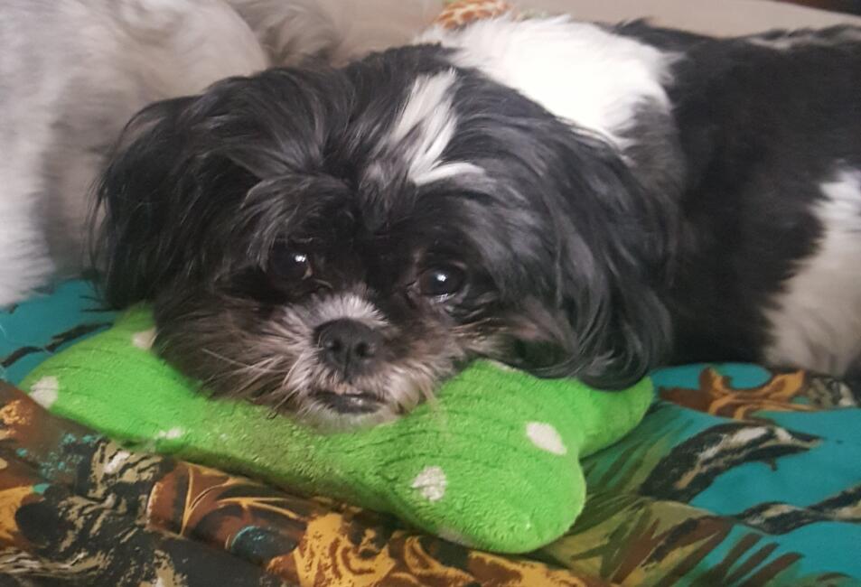 inbound5125260951464559162