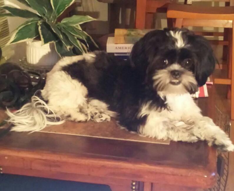 inbound5987234503279093126