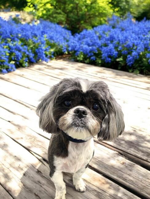 inbound8004497064318788726