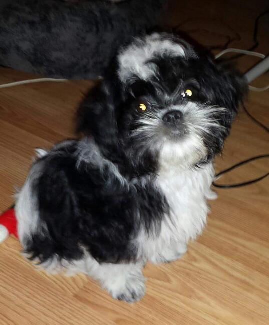 inbound9005181597293572819