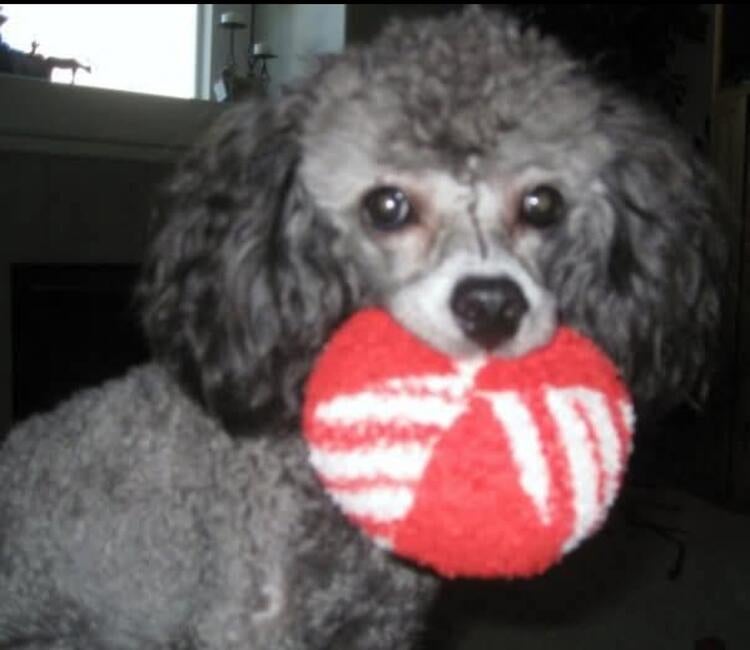 inbound2365268258135953487