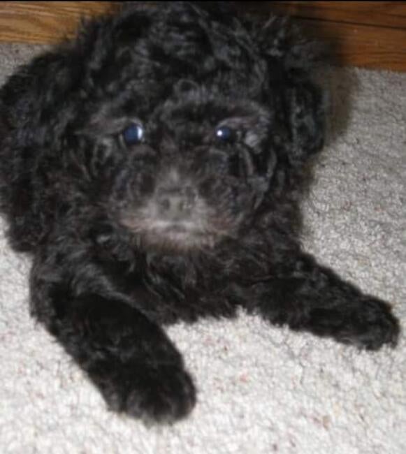 inbound633867391926221625